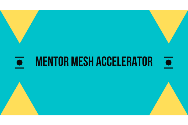 Introducing: the Mentor Mesh Accelerator