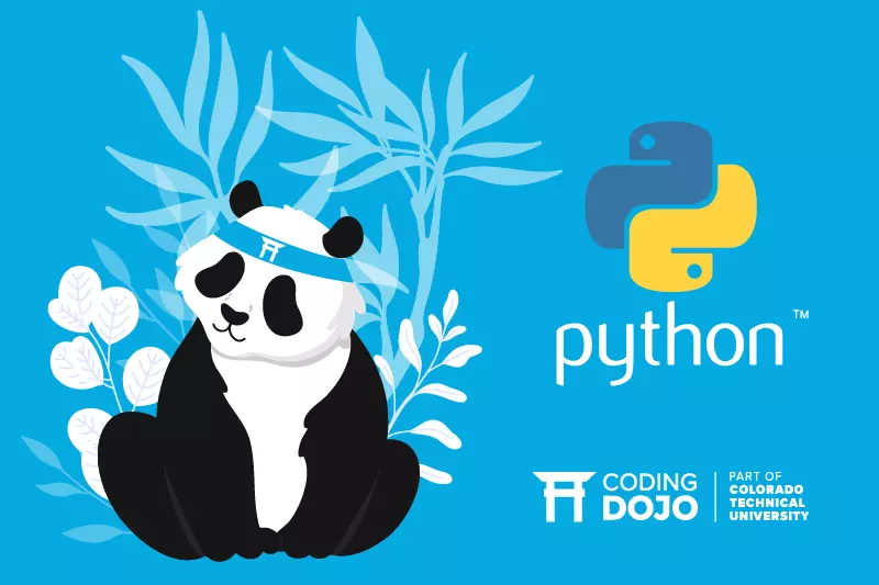 Illustration of a panda next to a Python logo