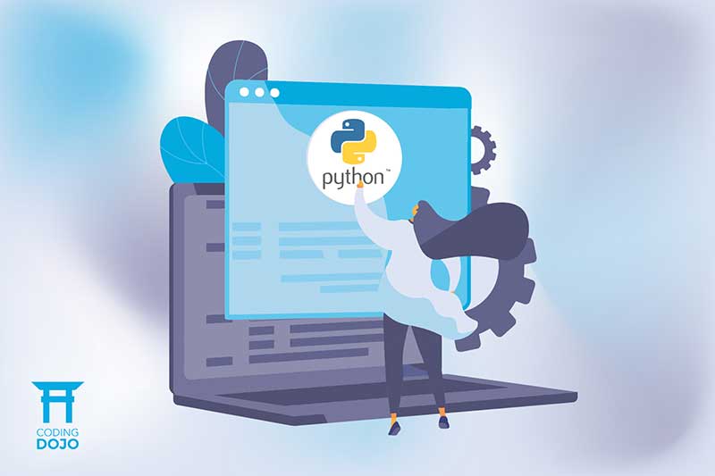 Illustration a woman learning Python online