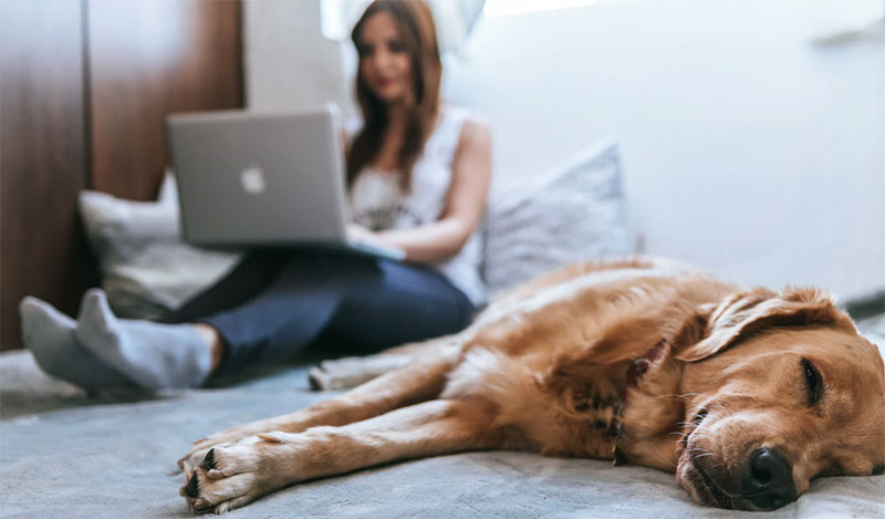 Woman working from home