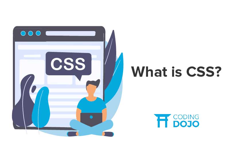 What is CSS? - Coding Dojo